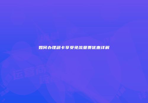 如何办理副卡享受免流量费优惠详解