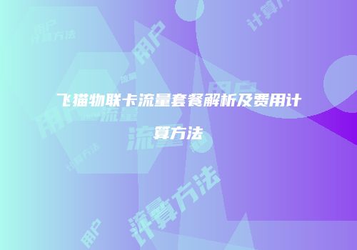 飞猫物联卡流量套餐解析及费用计算方法
