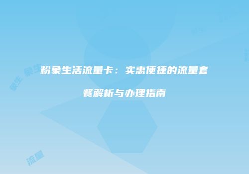 粉象生活流量卡：实惠便捷的流量套餐解析与办理指南