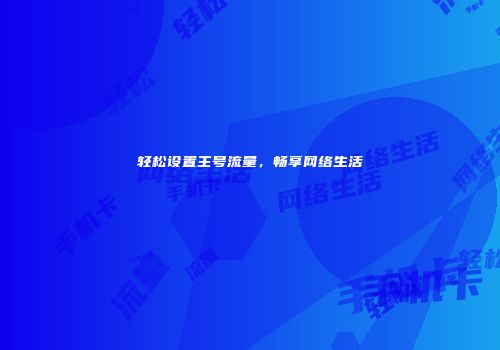 轻松设置主号流量，畅享网络生活