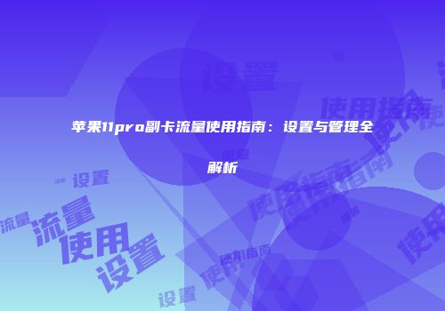 苹果11pro副卡流量使用指南：设置与管理全解析