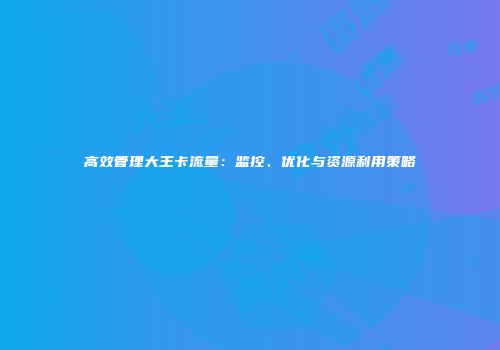 高效管理大王卡流量：监控、优化与资源利用策略