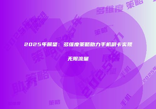2025年展望：多维度策略助力手机副卡实现无限流量