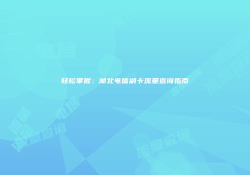 轻松掌握：湖北电信副卡流量查询指南