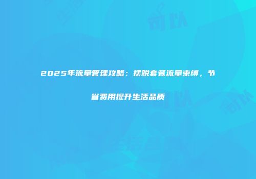 2025年流量管理攻略：摆脱套餐流量束缚，节省费用提升生活品质