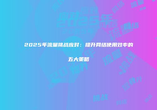 2025年流量挑战应对：提升网络使用效率的五大策略