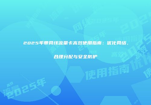 2025年带网线流量卡高效使用指南：优化网络、合理分配与安全防护