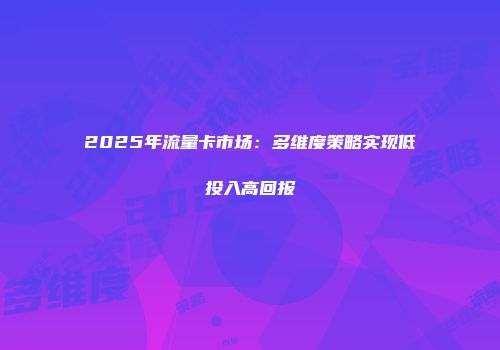 2025年流量卡市场：多维度策略实现低投入高回报