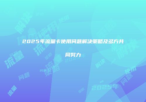 2025年流量卡使用问题解决策略及多方共同努力