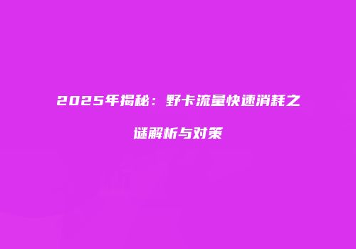 2025年揭秘：野卡流量快速消耗之谜解析与对策