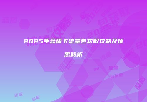 2025年蓝盾卡流量包获取攻略及优惠解析