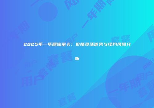 2025年一年期流量卡：价格灵活优势与续约风险分析