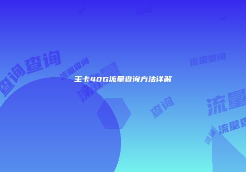 王卡40G流量查询方法详解