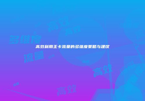 高效利用主卡流量的多维度策略与建议