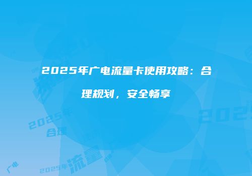 2025年广电流量卡使用攻略：合理规划，安全畅享