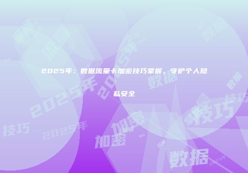 2025年：数据流量卡加密技巧掌握，守护个人隐私安全
