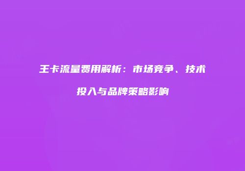 王卡流量费用解析：市场竞争、技术投入与品牌策略影响