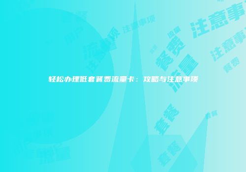 轻松办理低套餐费流量卡：攻略与注意事项