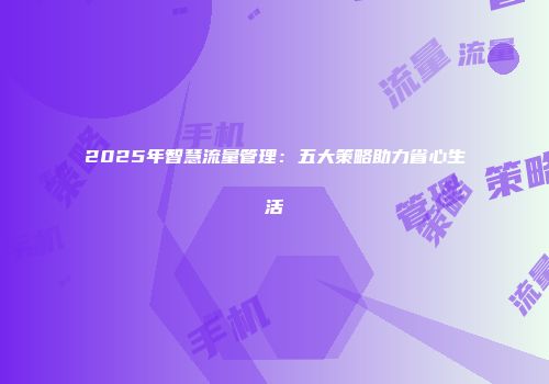 2025年智慧流量管理：五大策略助力省心生活