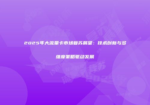 2025年大流量卡市场复苏展望：技术创新与多维度策略驱动发展