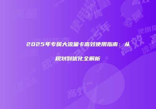 2025年专属大流量卡高效使用指南：从规划到优化全解析