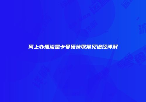 网上办理流量卡号码获取常见途径详解