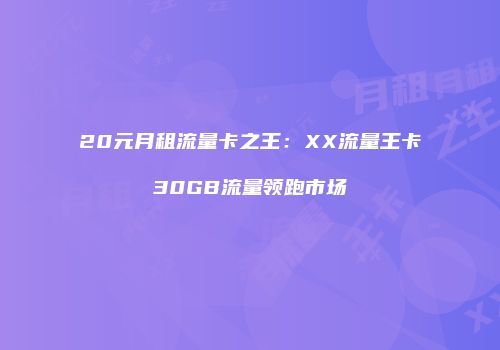 20元月租流量卡之王：XX流量王卡30GB流量领跑市场
