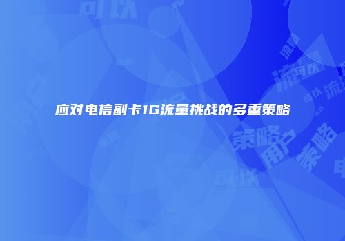 应对电信副卡1G流量挑战的多重策略