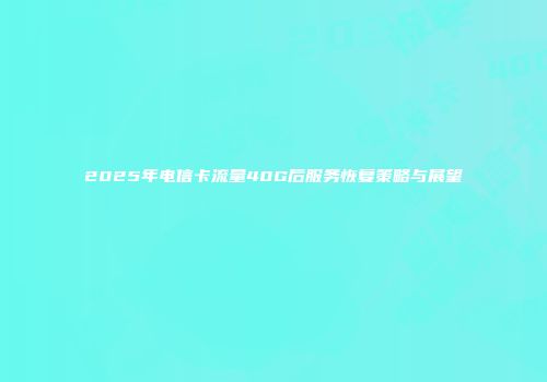 2025年电信卡流量40G后服务恢复策略与展望