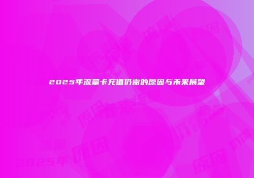 2025年流量卡充值仍需的原因与未来展望