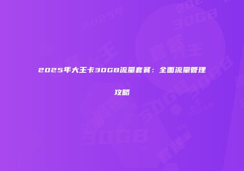 2025年大王卡30GB流量套餐：全面流量管理攻略