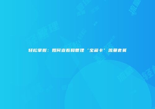 轻松掌握：如何查看和管理‘宝藏卡’流量套餐