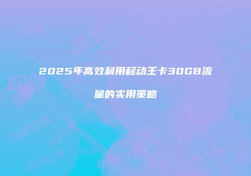 2025年高效利用移动王卡30GB流量的实用策略