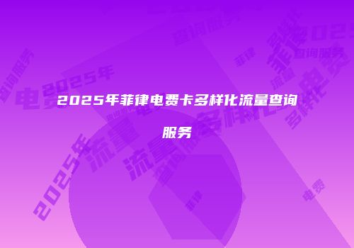 2025年菲律电费卡多样化流量查询服务