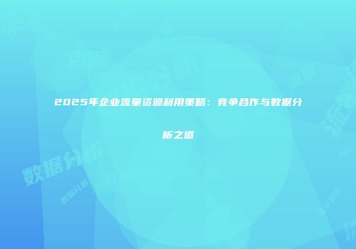 2025年企业流量资源利用策略：竞争合作与数据分析之道