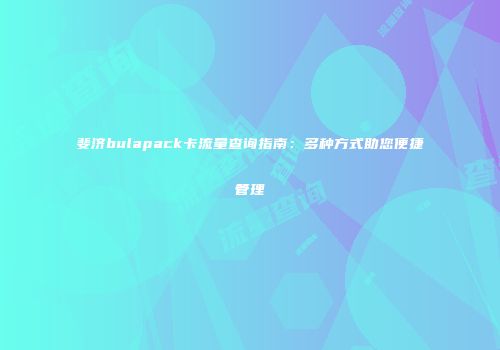 斐济bulapack卡流量查询指南：多种方式助您便捷管理