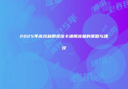 2025年高效利用免流卡通用流量的策略与建议