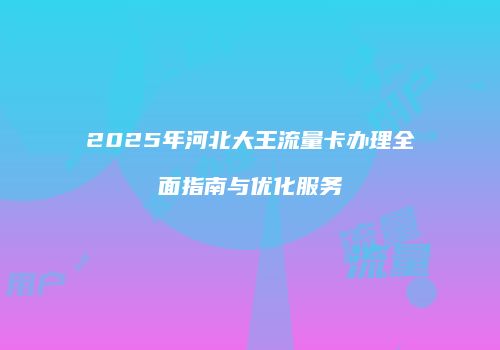 2025年河北大王流量卡办理全面指南与优化服务