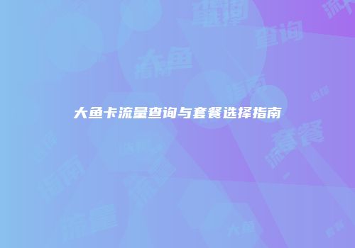 大鱼卡流量查询与套餐选择指南
