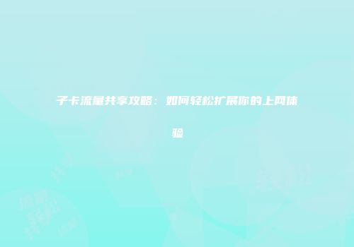 子卡流量共享攻略：如何轻松扩展你的上网体验