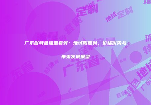 广东省特色流量套餐：地域限定制、价格优势与未来发展展望