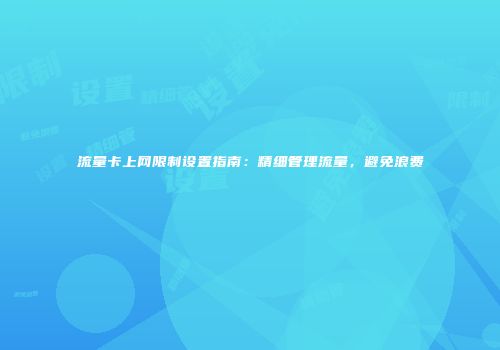 流量卡上网限制设置指南：精细管理流量，避免浪费
