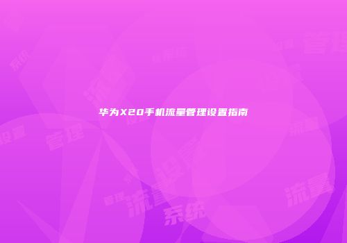 华为X20手机流量管理设置指南