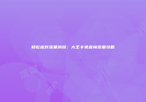 轻松应对流量消耗：大王卡免查询流量攻略