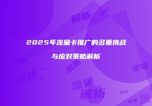 2025年流量卡推广的多重挑战与应对策略解析
