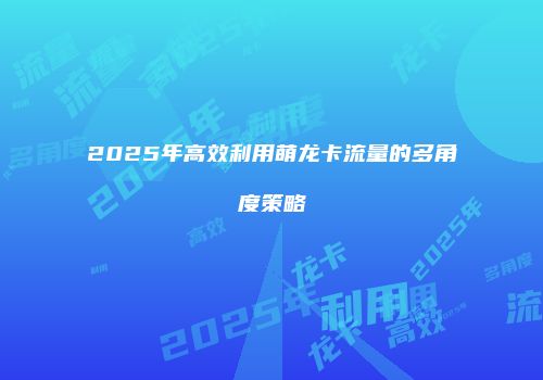 2025年高效利用萌龙卡流量的多角度策略