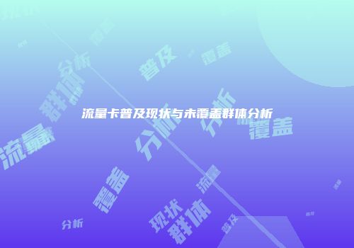 流量卡普及现状与未覆盖群体分析