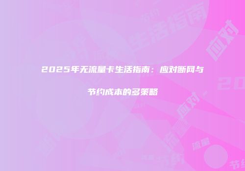 2025年无流量卡生活指南：应对断网与节约成本的多策略