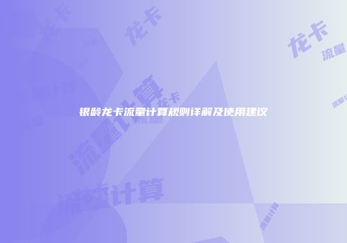 银龄龙卡流量计算规则详解及使用建议