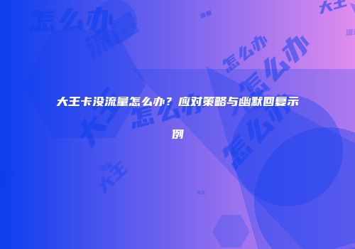大王卡没流量怎么办？应对策略与幽默回复示例